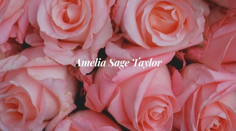 Header of ameliasage