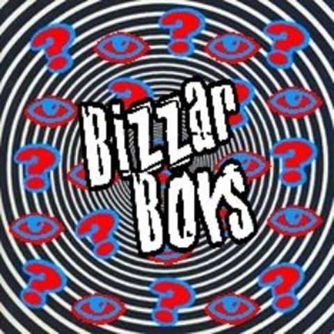 Header of bizzarboys