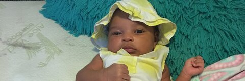 Header of creamsicle