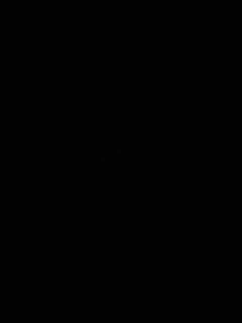 Header of curlie