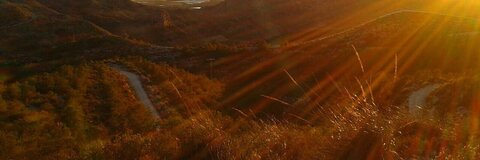 Header of downbi98