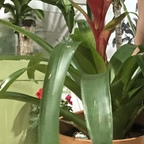 View ThePlantFam (ds6789) OnlyFans 100 Photos and 61 Videos leaked 

 profile picture