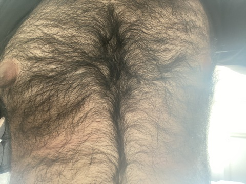 Header of hairybeast