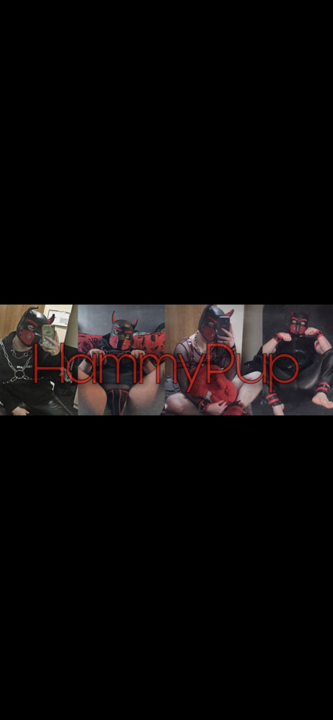 Header of hammypup