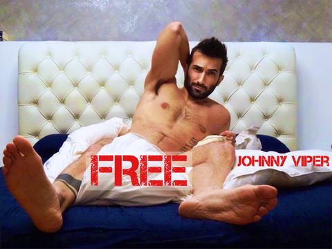 Header of johnnyviperfree