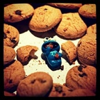 leafy profile picture