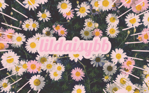 Header of lildaisybb