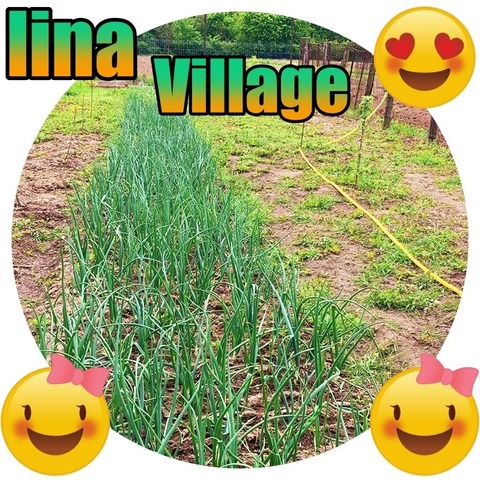 Header of linacountrygirl