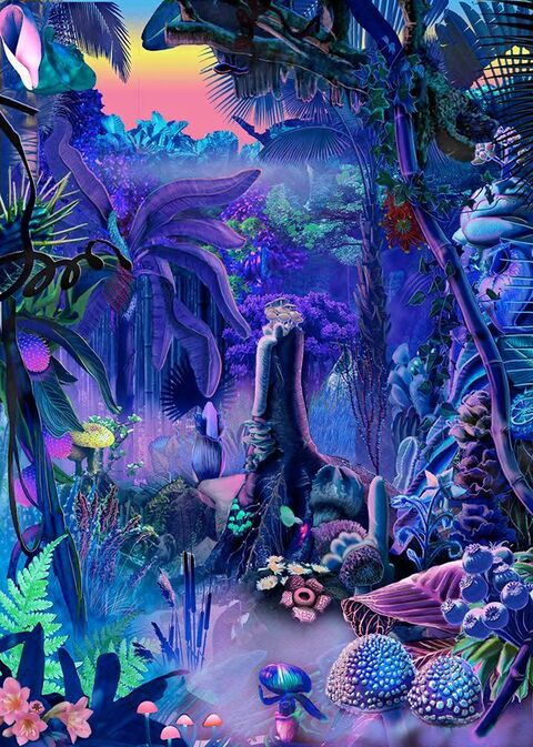 Header of mermaidream