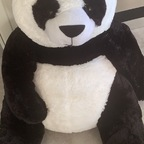 pandasticpron profile picture