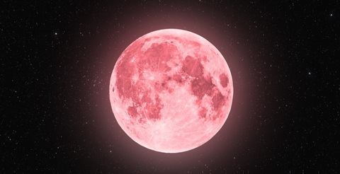 Header of pinkmoon2022