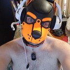 pup-patches (Patches the Pumpkin King) free OnlyFans Leaked Videos and Pictures 

 profile picture