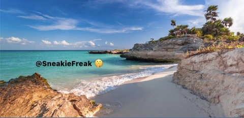 Header of sneakiefreak