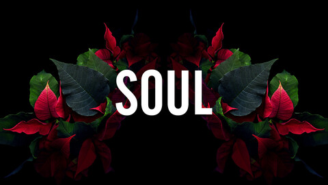 Header of soulreaper09