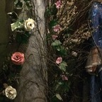 View tammywynette OnlyFans content for free 

 profile picture