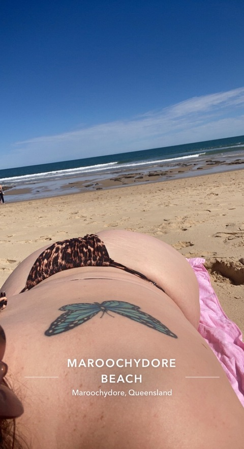 Header of the_beachbunny