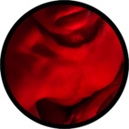 Download theb00tybandit OnlyFans videos and photos for free 

 profile picture