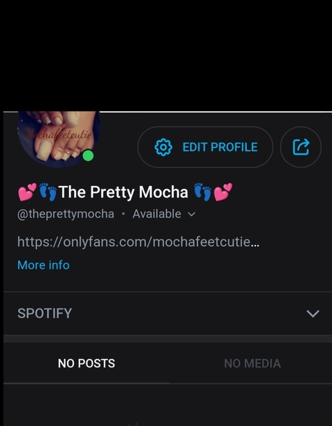 Header of theprettymocha