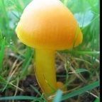 Onlyfans leaked tinyclitdick 

 profile picture